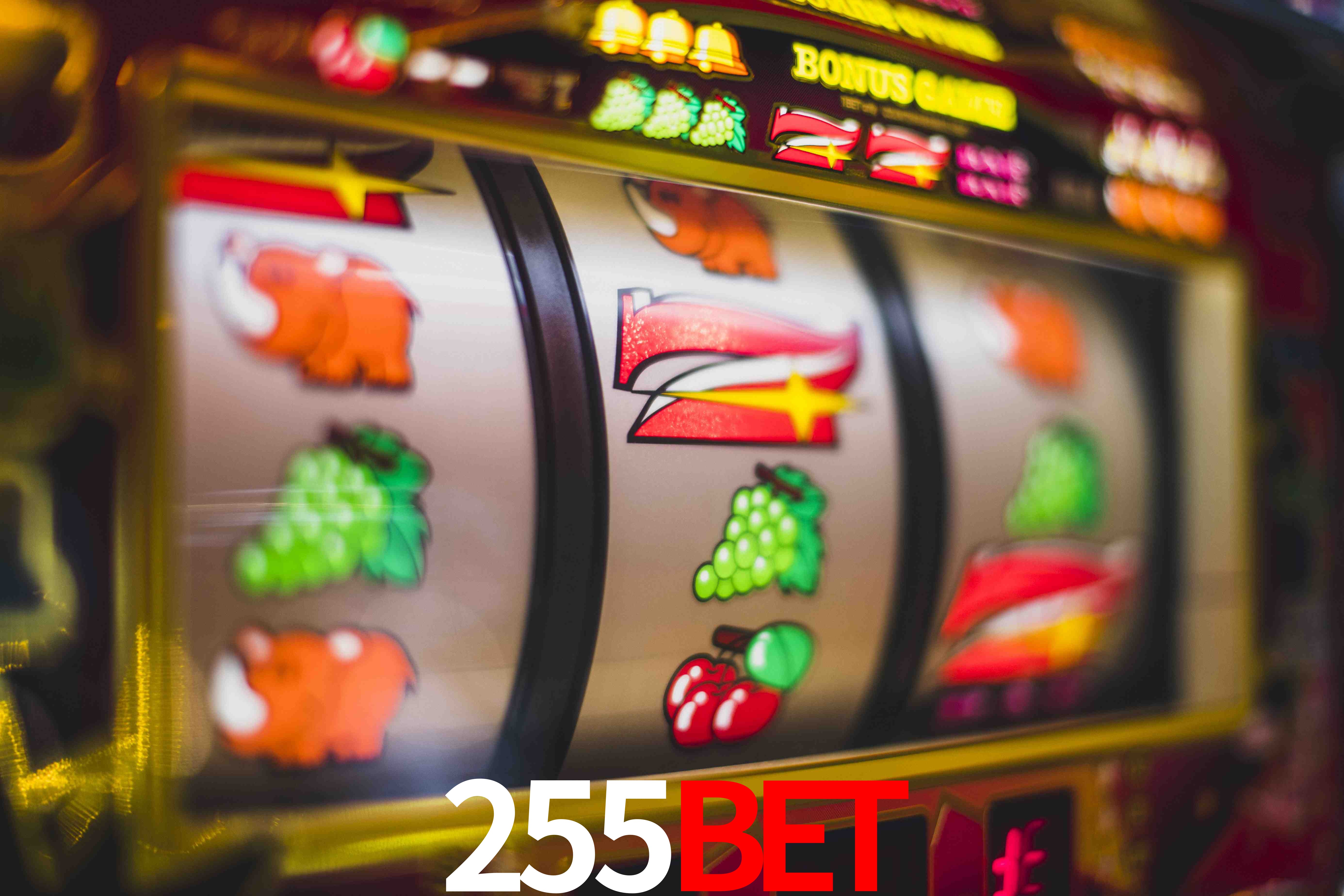 Basketball Betting 255bet